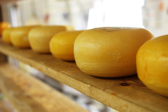 Как выбрать сыр - виды, упаковка, особенности выбора